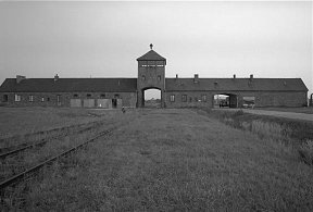 Birkenau